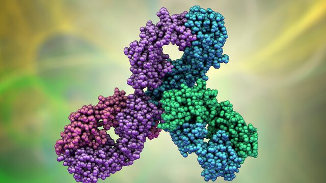 Molekularstruktur von Pembrolizumab | © AdobeStock-361550202