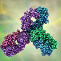 Molekularstruktur von Pembrolizumab | © AdobeStock-361550202