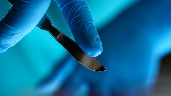 Detailaunahme einer Hand im blauen Latexhandschuh  | © AdobeStock-293448621