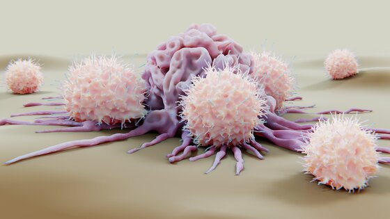 Mikroskopische Vergrößerung von weißen Krebszellen. | © AdobeStock-456005095