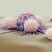 Mikroskopische Vergrößerung von weißen Krebszellen. | © AdobeStock-456005095
