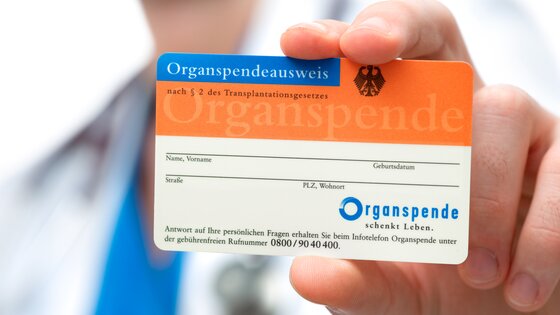 Eine Hand hält einen Organspendeausweis | © AdobeStock_47061832
