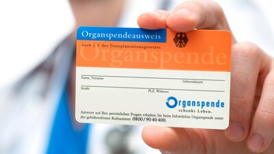 Eine Hand hält einen Organspendeausweis | © AdobeStock_47061832